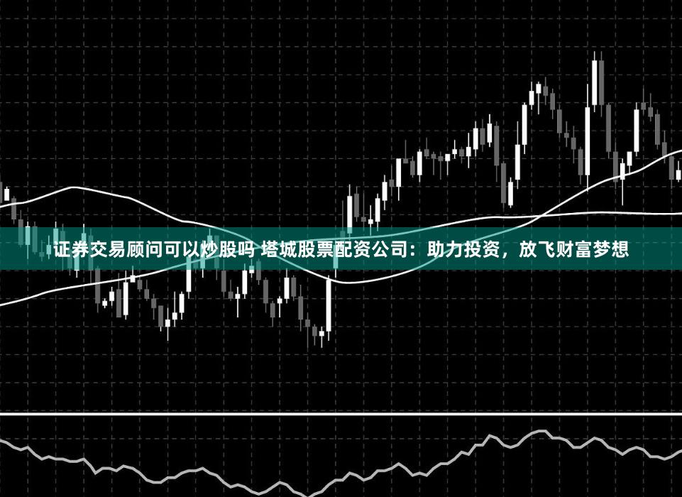 证券交易顾问可以炒股吗 塔城股票配资公司:助力投资,放飞财富梦想