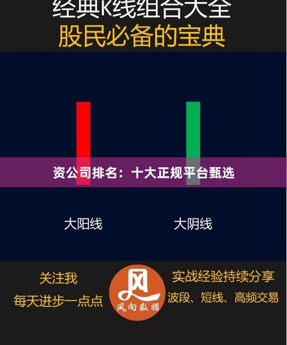 资公司排名：十大正规平台甄选